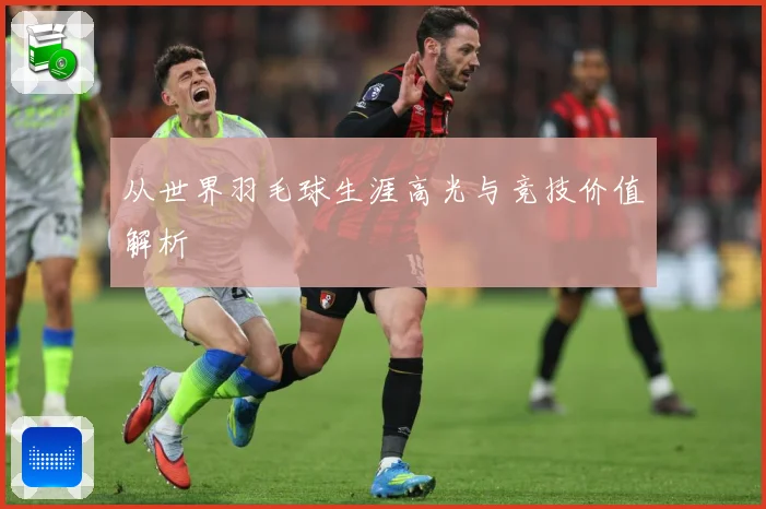 从世界羽毛球生涯高光与竞技价值解析