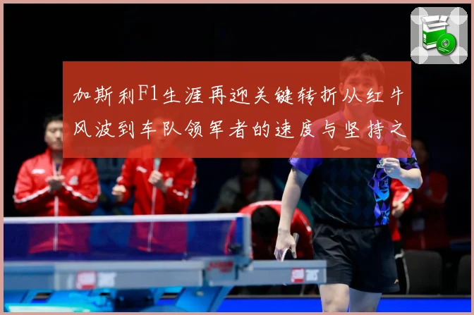 加斯利F1生涯再迎关键转折从红牛风波到车队领军者的速度与坚持之路解析