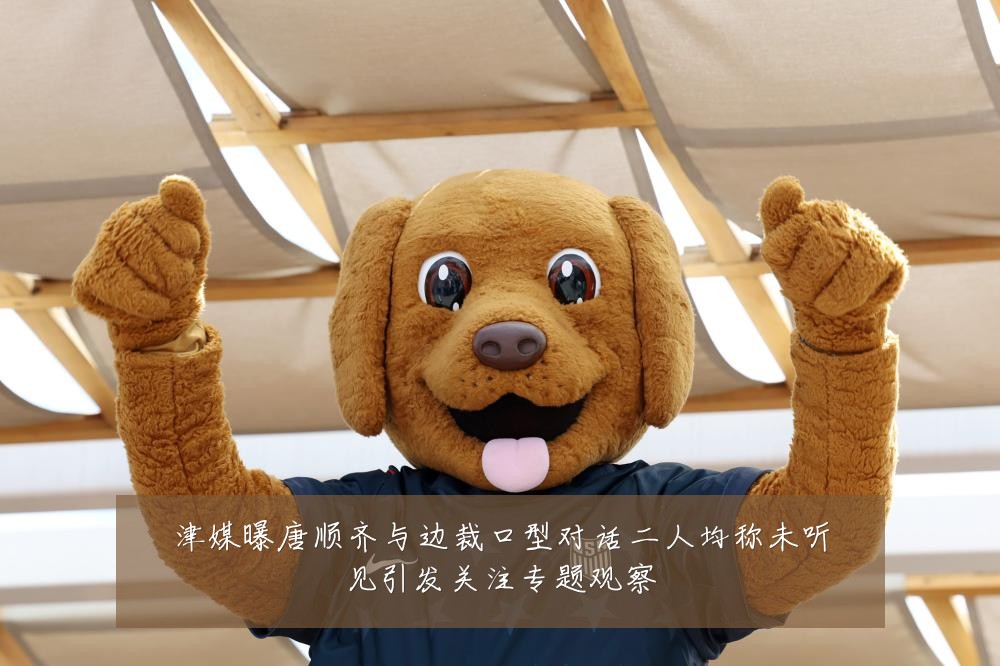 津媒曝唐顺齐与边裁口型对话二人均称未听见引发关注专题观察