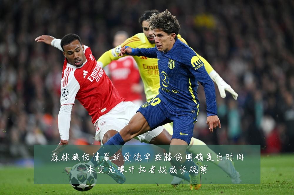 森林狼伤情最新爱德华兹膝伤明确复出时间未变无缘开拓者战成长观察
