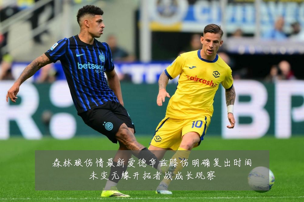 森林狼伤情最新爱德华兹膝伤明确复出时间未变无缘开拓者战成长观察