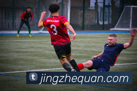 开云官网APP 体育赛事宣传图